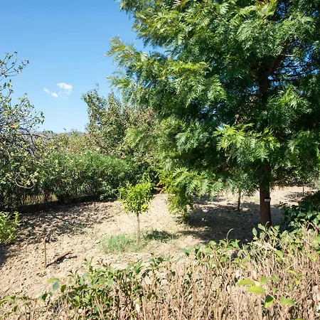 Vossos House - Visit Zakynthos From One Place * Áyios Kírikos